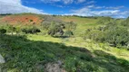 Foto 83 de Fazenda/Sítio com 5 Quartos à venda, 170000m² em Centro, Rio Novo