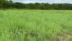 Foto 2 de Fazenda/Sítio à venda em Zona Rural, São Valério da Natividade