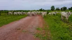 Foto 5 de Fazenda/Sítio com 4 Quartos à venda, 4800m² em Centro, Cocalinho