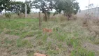 Foto 8 de Lote/Terreno à venda, 30000m² em Paranoá, Brasília