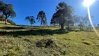 Foto 30 de Fazenda/Sítio à venda, 140000m² em Centro, Rancho Queimado