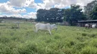 Foto 24 de Fazenda/Sítio com 3 Quartos à venda, 400000m² em Area Rural de Cidade Ocidental, Cidade Ocidental