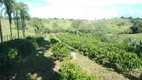 Foto 10 de Fazenda/Sítio com 3 Quartos à venda, 12100m² em Zona Rural, Ouro Fino