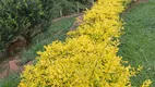 Foto 2 de Fazenda/Sítio à venda, 4000m² em Centro, Lorena