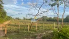 Foto 6 de Fazenda/Sítio à venda, 1090000m² em Parque Alvorada, Timon