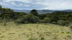 Foto 14 de Fazenda/Sítio à venda, 240000m² em Perico, São Joaquim