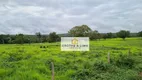 Foto 20 de Fazenda/Sítio com 10 Quartos à venda, 800m² em Vila Cearense, Araguaína