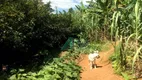 Foto 16 de Lote/Terreno à venda, 3000m² em Lagoa Santo Antônio, Pedro Leopoldo