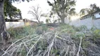 Foto 10 de Lote/Terreno para alugar, 1000m² em Jardim Atlântico, Belo Horizonte