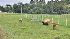 Foto 12 de Lote/Terreno à venda, 370000m² em Centro, Santo Amaro da Imperatriz