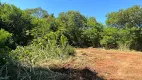 Foto 11 de Lote/Terreno para venda ou aluguel, 1450m² em Chácara Boa Vista, Campinas