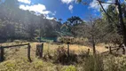 Foto 30 de Fazenda/Sítio com 3 Quartos à venda, 60000m² em Centro, Gonçalves