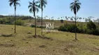 Foto 9 de Fazenda/Sítio com 4 Quartos à venda, 28m² em Zona Rural, Buriti Alegre