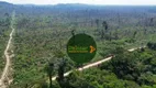 Foto 14 de Lote/Terreno à venda, 2300000m² em Zona Rural, Nova Bandeirantes