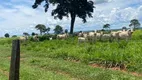 Foto 2 de Fazenda/Sítio à venda em Zona Rural, Quirinópolis