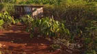 Foto 3 de Fazenda/Sítio com 2 Quartos à venda, 3000m² em Zona Rural, Marialva