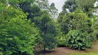 Foto 18 de Fazenda/Sítio com 6 Quartos à venda, 35500m² em Duas Pedras, Nova Friburgo