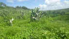 Foto 2 de Fazenda/Sítio com 3 Quartos à venda, 137000m² em Centro, São Pedro