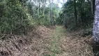 Foto 6 de Fazenda/Sítio com 1 Quarto à venda, 20000m² em Bocaiuva Do Sul, Bocaiúva do Sul