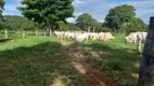 Foto 2 de Fazenda/Sítio à venda, 3000000m² em Zona Rural, Riachinho