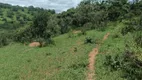 Foto 28 de Fazenda/Sítio à venda, 320000m² em Zona Rural, Bonfim