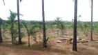 Foto 123 de Fazenda/Sítio com 5 Quartos à venda, 145000m² em Área Rural, Aragoiânia