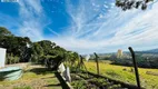 Foto 22 de Fazenda/Sítio com 4 Quartos à venda, 3600m² em Zona Rural, Pinhalzinho