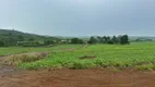 Foto 4 de Lote/Terreno à venda, 10000m² em , Paiçandu