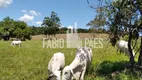 Foto 18 de Fazenda/Sítio com 5 Quartos à venda, 968000m² em Zona Rural, Silva Jardim