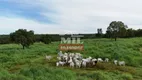 Foto 15 de Fazenda/Sítio com 3 Quartos à venda, 2450000m² em Centro, Gurupi