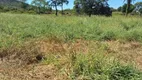 Foto 2 de Fazenda/Sítio à venda, 1147000m² em Zona Rural, Arinos