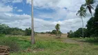 Foto 6 de Fazenda/Sítio à venda, 1500000m² em Guajiru, São Gonçalo do Amarante