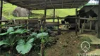 Foto 57 de Fazenda/Sítio com 3 Quartos à venda, 57000m² em Lumiar, Nova Friburgo