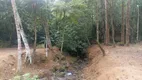 Foto 8 de Lote/Terreno à venda, 1070m² em Duarte Silveira, Petrópolis