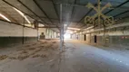 Foto 19 de Galpão/Depósito/Armazém para venda ou aluguel, 5000m² em Colonia - Zona Leste , São Paulo