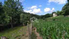 Foto 8 de Fazenda/Sítio com 2 Quartos à venda, 20000m² em , Garibaldi