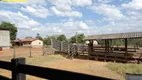 Foto 22 de Fazenda/Sítio com 4 Quartos à venda, 1137400m² em Centro, Mairipotaba