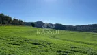 Foto 11 de Fazenda/Sítio à venda, 29200m² em São Salvador, Cascavel