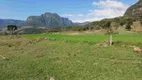 Foto 13 de Fazenda/Sítio à venda, 50000m² em Pedra Branca, Alfredo Wagner