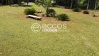 Foto 11 de Fazenda/Sítio com 4 Quartos à venda, 5000m² em Chácaras Eldorado, Uberlândia