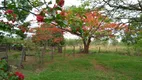 Foto 4 de Fazenda/Sítio à venda, 400000m² em Setor Central, Pires do Rio