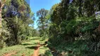 Foto 17 de Lote/Terreno à venda, 30000m² em São Miguel, Campo Alegre