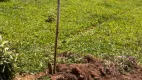 Foto 3 de Lote/Terreno à venda, 500m² em Centro, Bom Jesus dos Perdões