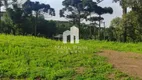 Foto 31 de Lote/Terreno à venda, 36000m² em Miringuava, São José dos Pinhais