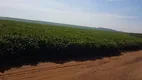 Foto 2 de Fazenda/Sítio à venda, 23990000m² em Santa Amélia, Belo Horizonte