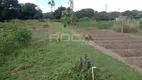 Foto 16 de Fazenda/Sítio com 5 Quartos à venda, 248m² em Tibaia de São Fernando, São Carlos