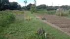 Foto 16 de Fazenda/Sítio com 5 Quartos à venda, 249m² em Tibaia de São Fernando, São Carlos