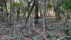 Foto 6 de Fazenda/Sítio à venda, 196000m² em Linha Quilombo, Gramado