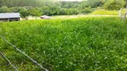 Foto 2 de Fazenda/Sítio à venda, 5850m² em Lamenha Pequena, Curitiba