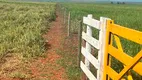 Foto 11 de Fazenda/Sítio à venda, 2500000m² em Zona Rural, Presidente Epitácio